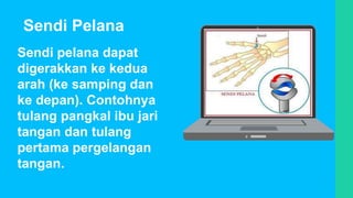 Sendi pelana dapat
digerakkan ke kedua
arah (ke samping dan
ke depan). Contohnya
tulang pangkal ibu jari
tangan dan tulang
pertama pergelangan
tangan.
Sendi Pelana
 