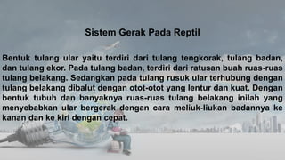 Sistem Gerak Pada Reptil
Bentuk tulang ular yaitu terdiri dari tulang tengkorak, tulang badan,
dan tulang ekor. Pada tulang badan, terdiri dari ratusan buah ruas-ruas
tulang belakang. Sedangkan pada tulang rusuk ular terhubung dengan
tulang belakang dibalut dengan otot-otot yang lentur dan kuat. Dengan
bentuk tubuh dan banyaknya ruas-ruas tulang belakang inilah yang
menyebabkan ular bergerak dengan cara meliuk-liukan badannya ke
kanan dan ke kiri dengan cepat.
 