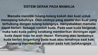SISTEM GERAK PADA MAMALIA
Mamalia memiliki tulang-tulang kokoh dan kuat untuk
menopang tubuhnya. Otot-ototnya yang elastis dan kuat yang
terhubung dengan tulang-tulangnya, menyebabkan mamalia
dapat berlari. Sebagai contoh kuda. Pada saat kuda bergerak,
maka kaki kuda paling belakang memberikan dorongan agar
kuda dapat maju ke arah depan. Kencang atau lambatnya
kuda berlari tergantung pada kuat atau lemahnya saat kaki
belakang memberikan gerakan pada kaki belakangnya
 