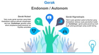 Yaitu suatu gerak spontan yang tidak
disebabkan adanya sebuah rangsangan
dari luar. Contohnya: gerakan pada
aliran sitoplasma pada tanaman air
Hydrilla verticillata
Gerak Nutasi
Gerak
Endonom / Autonom
Yakni suatu gerakan pada tumbuhan yang
disebabkan adanya suatu perubahan kadar
air. Contohnya : gerak pada pecahnya kulit
buah polong-polongan yang sudah kering
Gerak Higroskopis
 