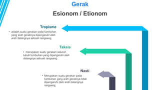 • adalah suatu gerakan pada tumbuhan
yang arah geraknya dipengaruhi oleh
arah datangnya sebuah rangsang.
Tropisme
• merupakan suatu gerakan seluruh
tubuh tumbuhan yang dipengaruhi oleh
datangnya sebuah rangsang.
Taksis
• Merupakan suatu gerakan pada
tumbuhan yang arah geraknya tidak
dipengaruhi oleh arah datangnya
rangsang.
Nasti
Gerak
Esionom / Etionom
 