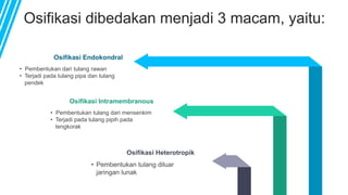 Osifikasi dibedakan menjadi 3 macam, yaitu:
• Pembentukan dari tulang rawan
• Terjadi pada tulang pipa dan tulang
pendek
Osifikasi Endokondral
• Pembentukan tulang dari mensenkim
• Terjadi pada tulang pipih pada
tengkorak
Osifikasi Intramembranous
• Pembentukan tulang diluar
jaringan lunak
Osifikasi Heterotropik
 