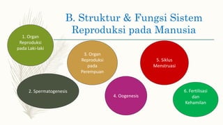B. Struktur & Fungsi Sistem
Reproduksi pada Manusia
1. Organ
Reproduksi
pada Laki-laki
2. Spermatogenesis
3. Organ
Reproduksi
pada
Perempuan
4. Oogenesis
5. Siklus
Menstruasi
6. Fertilisasi
dan
Kehamilan
 