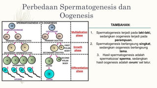Perbedaan Spermatogenesis dan
Oogenesis
TAMBAHAN:
1. Spermatogenesis terjadi pada laki-laki,
sedangkan oogenesis terjadi pada
perempuan.
2. Spermatogenesis berlangsung singkat,
sedangkan oogenesis berlangsung
lama.
3. Hasil spermatogenesis adalah
spermatozoa/ sperma, sedangkan
hasil oogenesis adalah ovum/ sel telur.
 