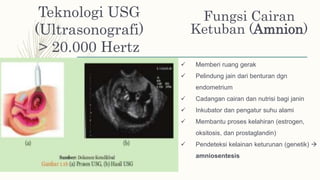 Teknologi USG
(Ultrasonografi)
> 20.000 Hertz
Fungsi Cairan
Ketuban (Amnion)
 Memberi ruang gerak
 Pelindung jain dari benturan dgn
endometrium
 Cadangan cairan dan nutrisi bagi janin
 Inkubator dan pengatur suhu alami
 Membantu proses kelahiran (estrogen,
oksitosis, dan prostaglandin)
 Pendeteksi kelainan keturunan (genetik) 
amniosentesis
 