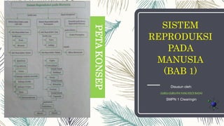 SISTEM
REPRODUKSI
PADA
MANUSIA
(BAB 1)
Disusun oleh:
GURU-GURUIPAYANGKECEBADAI
SMPN 1 Ciwaringin
PETA
KONSEP
 