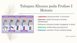 Tahapan Khusus pada Profase I
Meiosis
– Leptonema: benang kromatin  kromosom
– Zigonema: bivalen (kromosom homolog
berpasangan)
– Pakinema: kromosom bivalen mengganda  tetrad
– Diplonema: pindah silang (crossing over)
– Diakinesis: membran inti dan nucleolus lenyap
Sumber: docplyer.info
 
