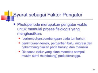 Syarat sebagai Faktor Pengatur


Photoperiode merupakan pengatur waktu
untuk memulai proses fisiologis yang
menghasilkan:





pertumbuhan,pembungaan pada tumbuhan
penimbunan lemak, pergantian bulu, migrasi dan
pekembang biakan pada burung dan mamalia
Diapause (telur yang akan menetas sampai
musim semi mendatang) pada serangga.

25

 