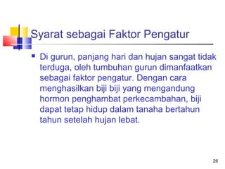Syarat sebagai Faktor Pengatur


Di gurun, panjang hari dan hujan sangat tidak
terduga, oleh tumbuhan gurun dimanfaatkan
sebagai faktor pengatur. Dengan cara
menghasilkan biji biji yang mengandung
hormon penghambat perkecambahan, biji
dapat tetap hidup dalam tanaha bertahun
tahun setelah hujan lebat.

26

 