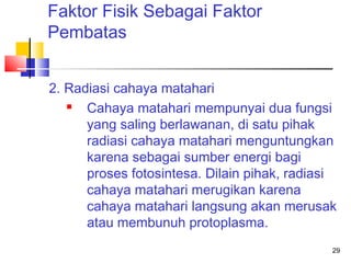 Faktor Fisik Sebagai Faktor
Pembatas
2. Radiasi cahaya matahari

Cahaya matahari mempunyai dua fungsi
yang saling berlawanan, di satu pihak
radiasi cahaya matahari menguntungkan
karena sebagai sumber energi bagi
proses fotosintesa. Dilain pihak, radiasi
cahaya matahari merugikan karena
cahaya matahari langsung akan merusak
atau membunuh protoplasma.
29

 