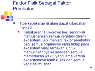 Faktor Fisik Sebagai Faktor
Pembatas


Tipe kebakaran di alam dapat dibedakan
menjadi :

Kebakaran tajuk/crown fire. seringkali
memusnahkan semua vegetasi dalam
ekosistem. Api menjadi faktor pembatas
bagi semua organisme yang hidup pada
ekosistem yang terbakar. Untuk
memulihkannya ke keadaan semula
memerlukan waktu yang lama karena
ekosistemnya telah rusak dan semua
vegetasi musnah.
54

 