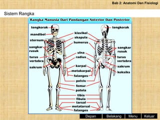 Nota sains sukan tingkatan 4