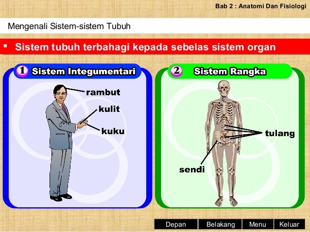 Nota Sains Sukan Tingkatan 4  Sains Sukan Tingkatan 4 Bab 2 / Atribut