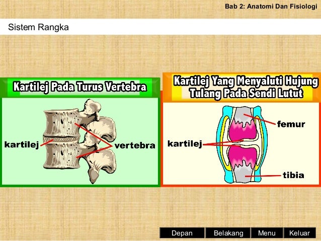 Sains Sukan Tingkatan 4 Bab 2