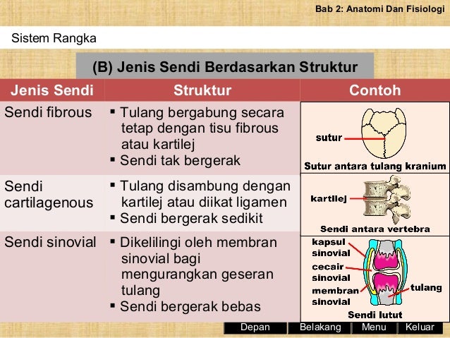 Nota Sains Sukan Tingkatan 5 / Sains Sukan Tingkatan 4 Pdf  Please