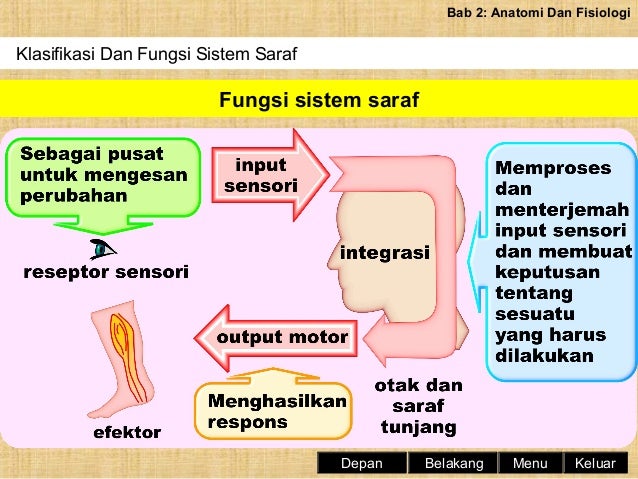 Pembuat Buku Teks Sains Sukan Tingkatan 4 / Jean jacques rousseau telah