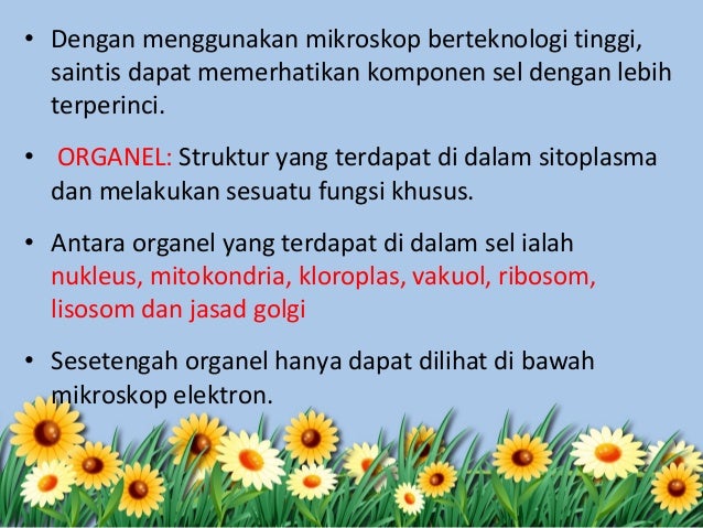 Bab 2 biologi struktur dan organisasi sel