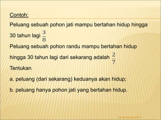 Contoh: 
Peluang sebuah pohon jati mampu bertahan hidup hingga 
30 tahun lagi 
Peluang sebuah pohon randu mampu bertahan hidup 
hingga 30 tahun lagi dari sekarang adalah 
Tentukan 
a. peluang (dari sekarang) keduanya akan hidup; 
b. peluang hanya pohon jati yang bertahan hidup. 
26 November 2014 
 