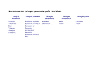 Jaringan 
epidermis 
Jaringan parenkim Jaringan 
penyokong 
Jaringan 
pengangkut 
Jaringan gabus 
Stomata 
Trikomata 
Duri 
Velamen 
Sel kipas 
Sel kersik 
Parenkim asimilasi 
Parenkim penimbun 
Parenkim air 
Parenkim 
pengangkut 
Aerenkim 
Parenkim penutup 
luka 
Kolenkim 
Sklerenkim 
Xilem 
Floem 
Feloderm 
Felem 
Macam-macam jaringan permanen pada tumbuhan 
 