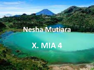 Nesha Mutiara
X. MIA 4
 