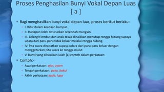 Proses Penghasilan Bunyi Vokal Depan Luas
[ a ]
 Bagi menghasilkan bunyi vokal depan luas, proses berikut berlaku:
 I. Bibir dalam keadaan hampar.
 II. Hadapan lidah diturunkan serendah mungkin.
 III. Lelangit lembut dan anak tekak dinaikkan menutup rongga hidung supaya
udara dari paru-paru tidak keluar melalui rongga hidung.
 IV. Pita suara dirapatkan supaya udara dari paru-paru keluar dengan
menggetarkan pita suara ke rongga mulut.
 V. Bunyi yang dihasilkan ialah [a] contoh dalam perkataan:
 Contoh:-
 Awal perkataan: ajar, ayam
 Tengah perkataan: paku, bakul
 Akhir perkataan: kuda, lupa
 