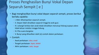 Proses Penghasilan Bunyi Vokal Depan
Separuh Sempit [ e ]
 Bagi menghasilkan bunyi vokal depan separuh sempit, proses berikut
berlaku apabila:
 I. Bibir dihamparkan separuh sempit.
 II. Depan lidah dinaikkan separuh tinggi ke arah gusi.
 III. Lelangit lembut dan anak tekak dinaikkan menutup hidung supaya udara
tidak keluar melalui rongga hidung.
 IV. Pita suara bergetar.
 V. Bunyi yang dihasilkan ialah [e] contoh dalam perkataan:
 Contoh:
 Awal perkataan: ekor, enak
 Tengah perkataan: leper, kekok
 Akhir perkataan: sate, tauge
 