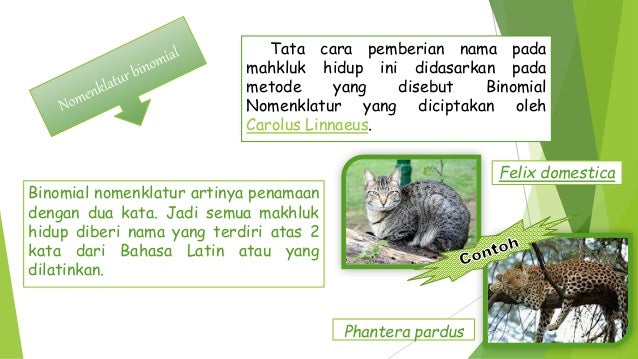 Bab 2 klasifikasi dan nomenklatur Bab 2 klasifikasi dan nomenklatur