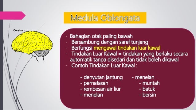 Sistem Koordinasi Site Title