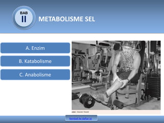 BAB
METABOLISME SELII
Kembali ke daftar isi
A. Enzim
B. Katabolisme
C. Anabolisme
 