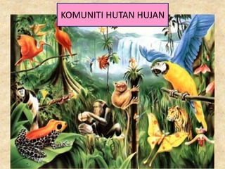 KOMUNITI HUTAN HUJAN
 