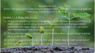 Eksperimen 2.2:
Untuk mengkaji kesan kekurangan makronutrien (nitrogen, fosforus & kalium)
terhadap pertumbuhan tumbuhan
Soalan 1 – 4 (Buku Teks ms 61)
1) Untuk menghalang cahaya masuk ke dalam larutan kultur pada tabung
didih. Larutan kultur yang terdedah kepada cahaya menggalakkan
pertumbuhan alga. Alga akan menyerap nutrien dalam larutan kultur
dan menjejaskan keputusan eksperimen.
2) Pengudaraan melalui larutan kultur membekalkan oksigen bagi respirasi
akar anak benih.
3) Untuk menggantikan makronutrien yang telah diserap oleh anak benih
4) Suhu persekitaran / kelembapan udara / keamatan cahaya
(mana-mana satu)
 