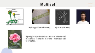 BAB 2. SAINS TINGKATAN 1 - SEL UNIT ASAS HIDUPAN | PPT