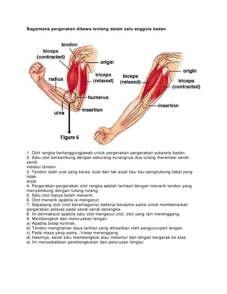 Bab 2 biologi ting 5