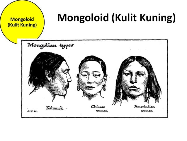 Contoh Ras Mongoloid Ciri Ciri Fisik Ras Asiatic