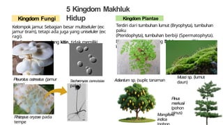 Jamur Multiseluler Bab 2 - Klasifikasi Makhluk Hidup................. | PPTX