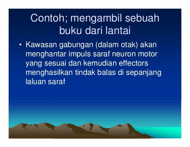 Bab 2 Koordinasi Badan Sains Tingkatan4