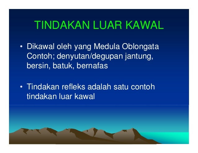 Bab 2 Koordinasi Badan Sains Tingkatan4