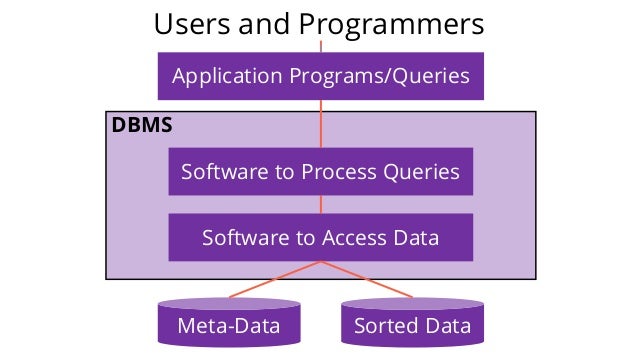 Data Management (Database Environment)