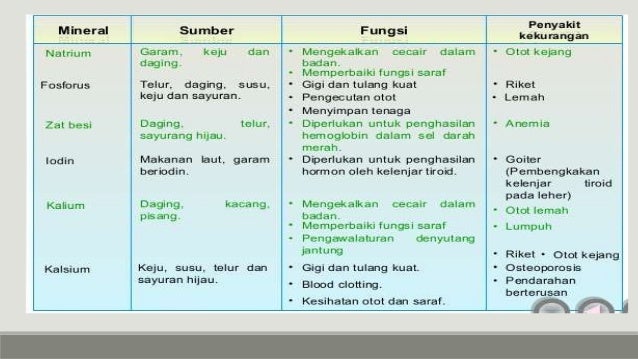 7 Kelas Makanan Sains Tingkatan 2