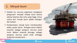  Setelah itu, sisa-sisa organisme mengalami
penguraian menjadi minyak bumi karena
adanya tekanan dan suhu yang tinggi. Unsur
utama dari minyak bumi adalah hidrogen
dan karbon.
 Pembentukan minyak bumi membutuhkan
waktu jutaan tahun. Terdapat peran bakteri
anaerob sebagai pengurai sisa-sisa jasad
renik. Bakteri anaerob bertugas sebagai
pengurai sisa-sisa jasad renik sehingga
terbentuk minyak bumi.
2. Minyak Bumi
 
