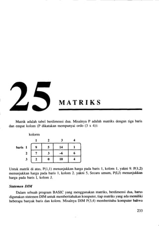 Bab25 matriks