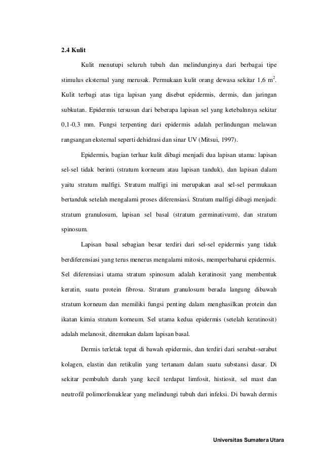 Bab 2 daun jati