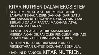 KITAR NUTRIEN DALAM EKOSISTEM
• SEBELUM INI, KITA SUDAH MENGETAHUI
BAHAWA TENAGA DIPINDAHKAN DARI SATU
ORGANISMA KE ORGANISMA YANG LAIN YANG
BERLAKU DALAM RANTAI MAKANAN ATAU
SIRATAN MAKANAN.
• KEMUDIAN APABILA ORGANISMA MATI,
MEREKA AKAN DIURAI OLEH PENGURAI MENJADI
BAHAN YANG LEBIH RINGKAS (NUTRIEN)
• NUTRIEN INI AKAN DIKEMBALIKAN KE
PERSEKITARAN UNTUK DIGUNAKAN SEMULA.
• JADI INI DIPANGGIL KITAR NUTRIEN.
 