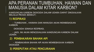 APA PERANAN TUMBUHAN, HAIWAN DAN
MANUSIA DALAM KITAR KARBON?
KANDUNGAN KARBON DIOKSIDA DALAM UDARA DAPAT DIKEKALKAN
MELALUI PROSES BERIKUT;
1) RESPIRASI
- TUMBUHAN , HAIWAN DAN MANUSIA AKAN MEMBEBASKAN
KARBON
DIOKSIDA SEMASA RESPIRASI.
- JADI, INI AKAN MENGEKALKAN KANDUNGAN KARBON DALAM
UDARA
2) PEMBAKARAN BAHAN API
- PEMBAKARAN BAHAN API AKAN MEMBEBASKAN KARBON
DIOKSIDA
3) PEREPUTAN ATAU PENGURAIAN
 