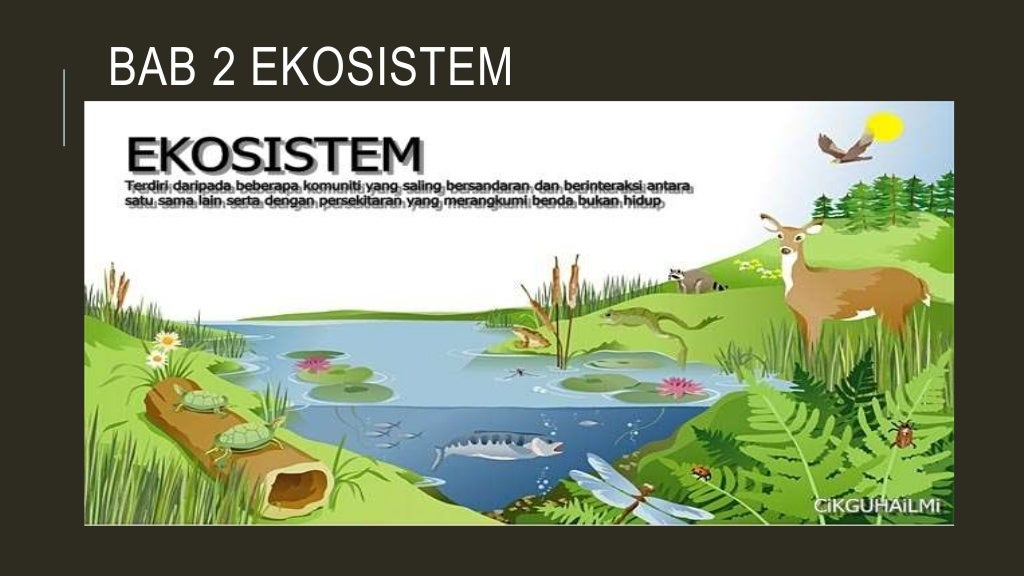 Bab 2 ekosistem