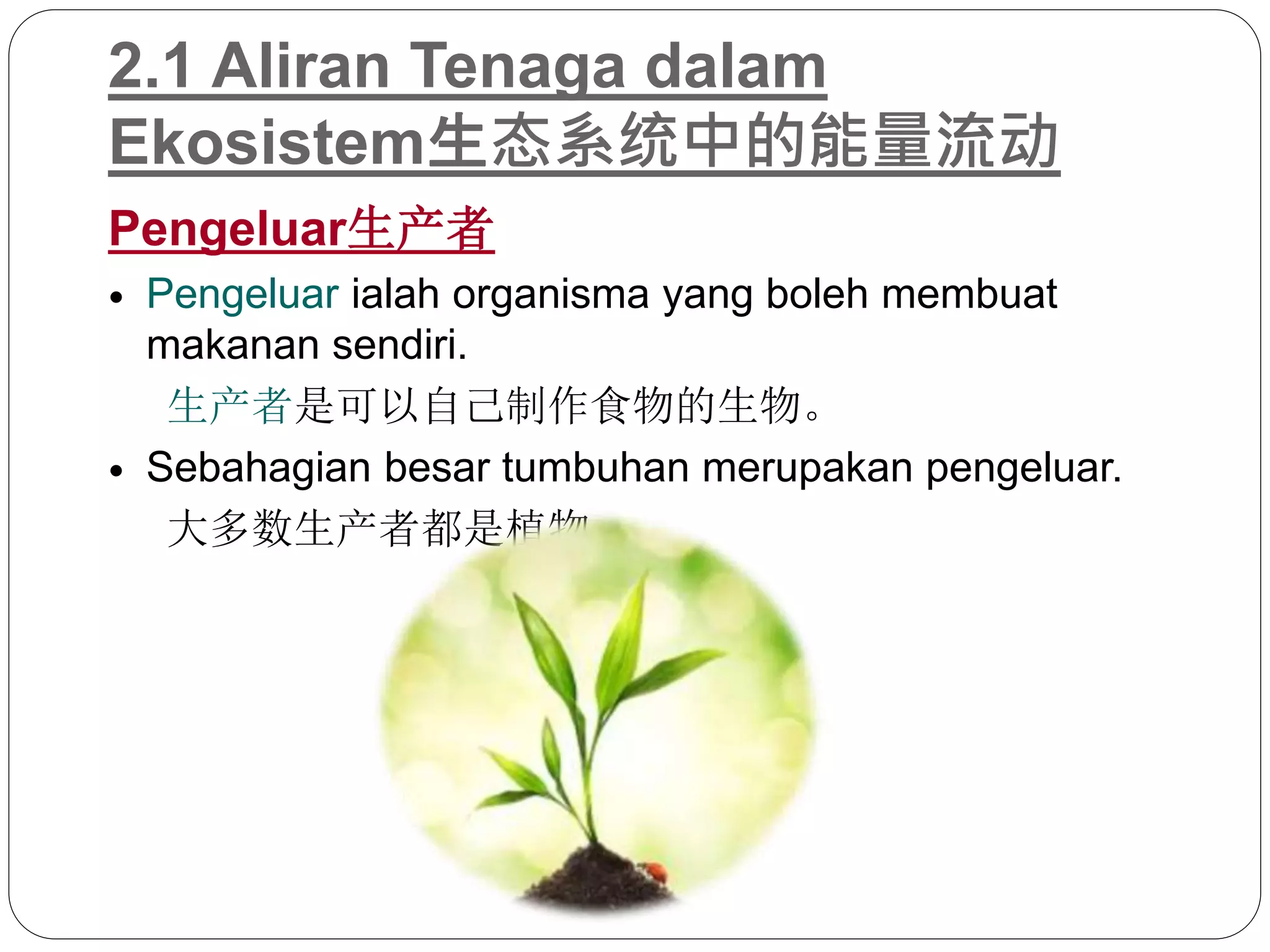 华语翻译】SAINS KSSM Tingkatan 2 Bab2 ekosistem | PPTX