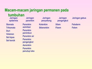 Macam-macam jaringan permanen pada
tumbuhan
Jaringan
epidermis
Jaringan
parenkim
Jaringan
penyokong
Jaringan
pengangkut
Jaringan gabus
Stomata
Trikomata
Duri
Velamen
Sel kipas
Sel kersik
Parenkim
asimilasi
Parenkim
penimbun
Parenkim air
Parenkim
pengangkut
Aerenkim
Parenkim
penutup luka
Kolenkim
Sklerenkim
Xilem
Floem
Feloderm
Felem
 