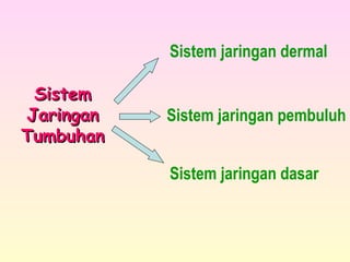 SistemSistem
JaringanJaringan
TumbuhanTumbuhan
Sistem jaringan dermal
Sistem jaringan pembuluh
Sistem jaringan dasar
 