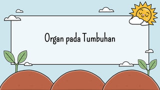 Organ pada Tumbuhan
 