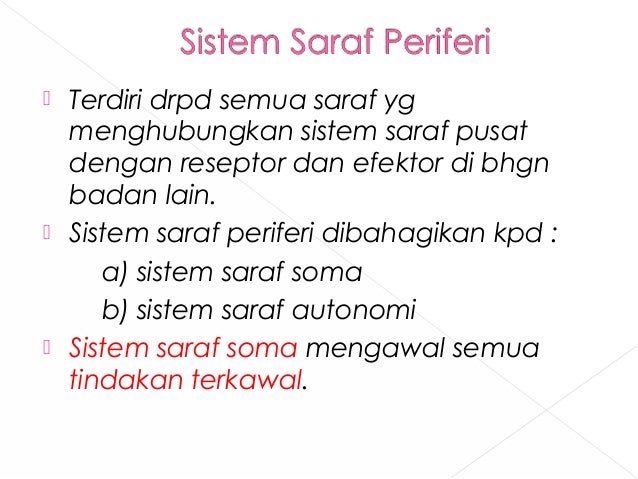 Bab 2 Koordinasi Badan